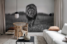 R19160 Lion King Pops Mural by Rebel Walls