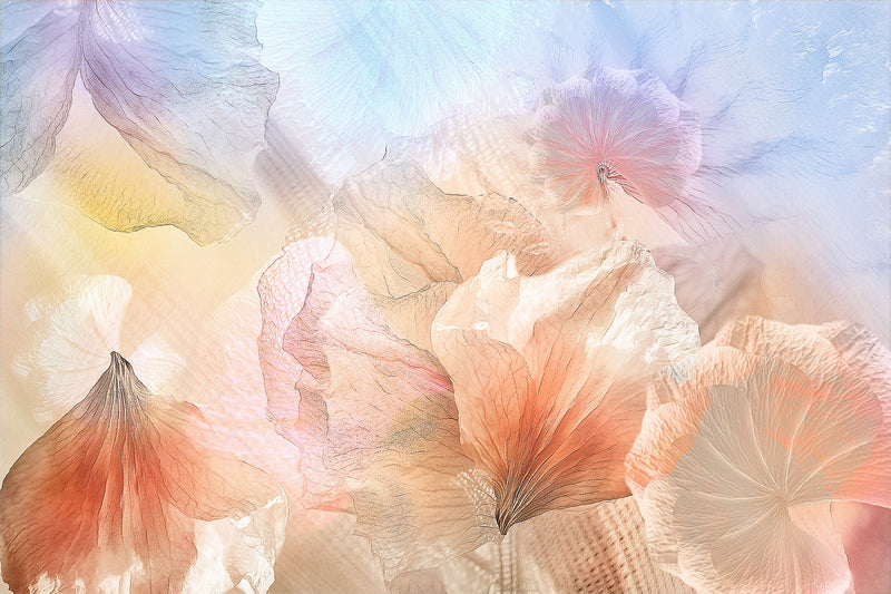 R19172 Pastel Petals Pops Mural by Rebel Walls
