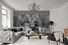 R19197 Elephant Hug Pops Mural by Rebel Walls