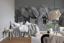 R19197 Elephant Hug Pops Mural by Rebel Walls