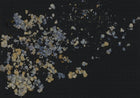 R19297 Fragile Beauty Dark Blue Imperfections Mural by Rebel Walls