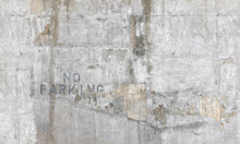 R19343 No Parking Pops Mural by Rebel Walls