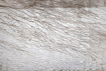 R19346 Fade Away Pops Mural by Rebel Walls
