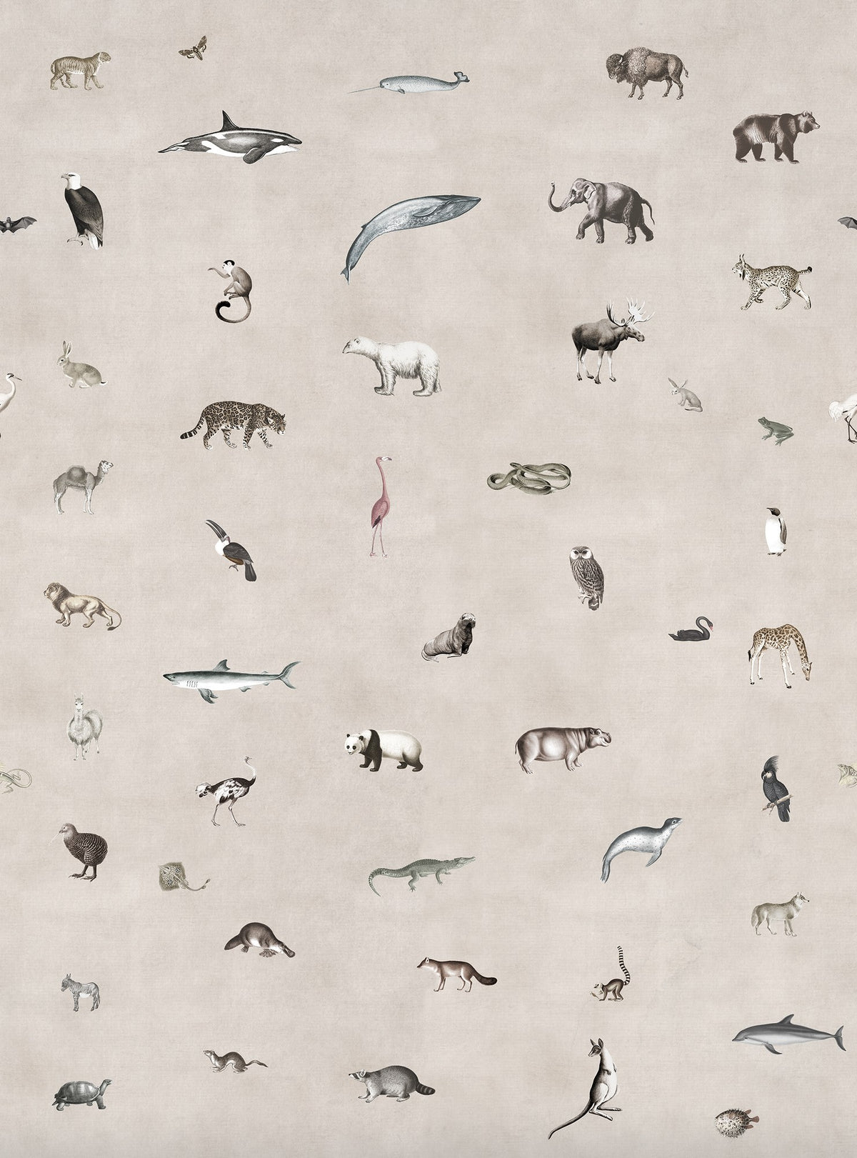 R19352 Wildlife Sand Pops Mural by Rebel Walls
