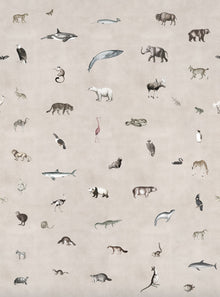 R19352 Wildlife Sand Pops Mural by Rebel Walls