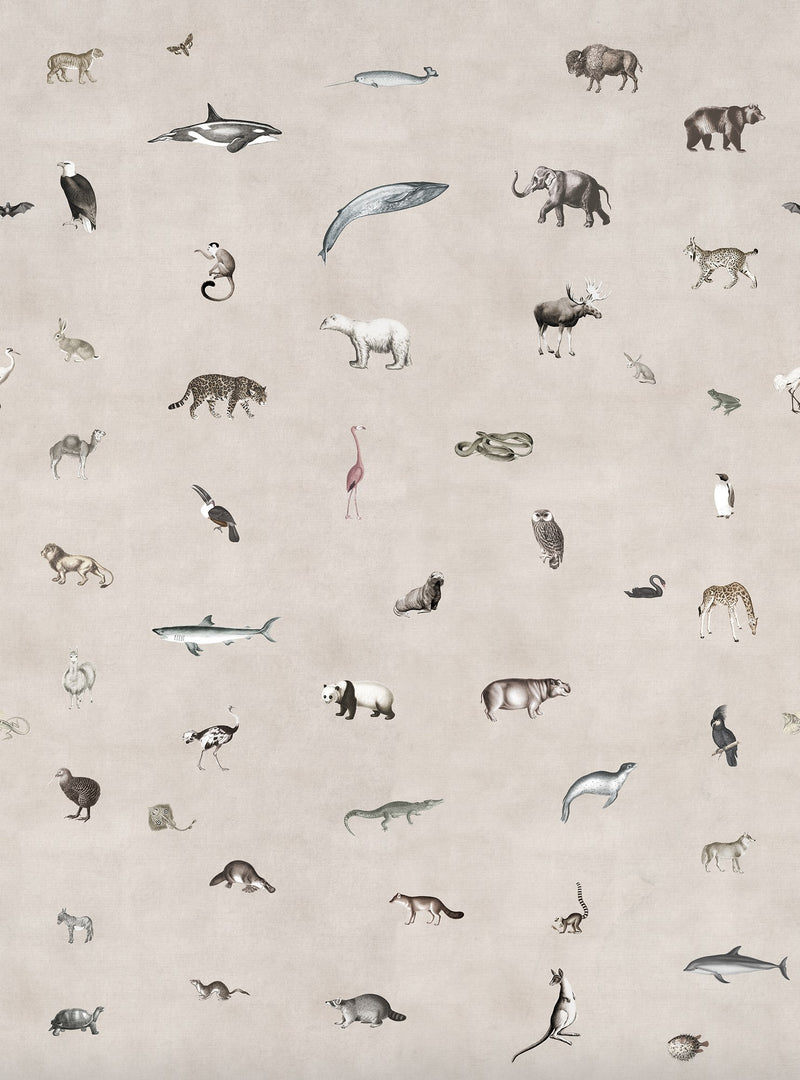 R19352 Wildlife Sand Pops Mural by Rebel Walls