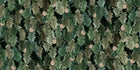 R19354 Timeless Green Pops Mural by Rebel Walls