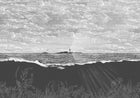 R19362 Guiding Light Graphite Meet a Rebel Mural by Rebel Walls