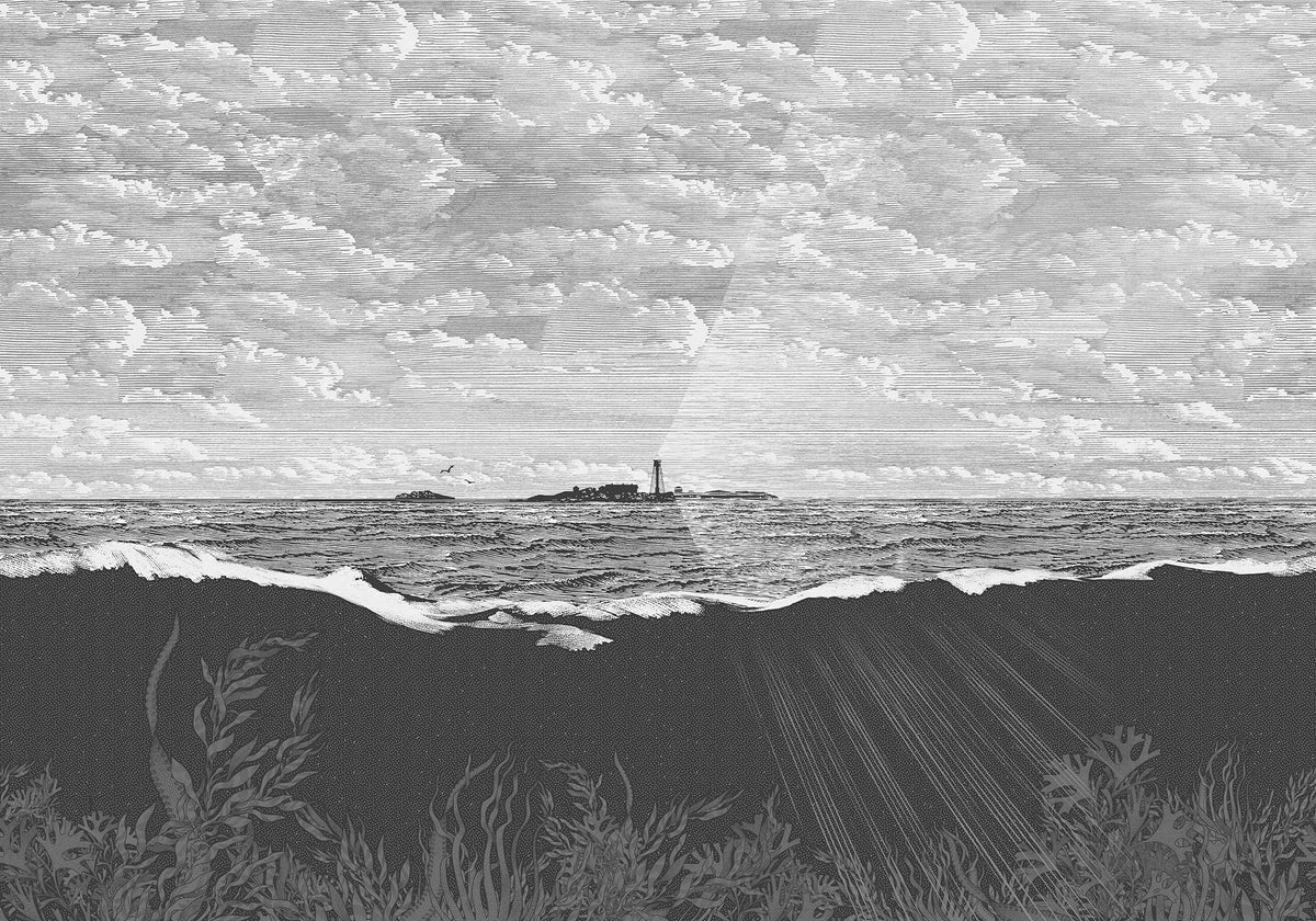 R19362 Guiding Light Graphite Meet a Rebel Mural by Rebel Walls