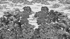R19442 Bellewood Under The Clouds Graphite Pops Mural by Rebel Walls