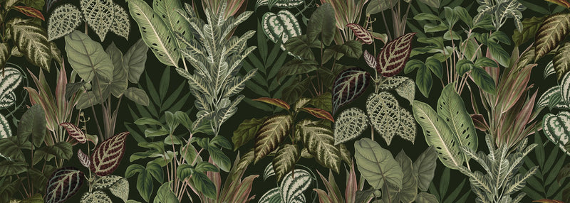 R19443 Mischievous Jungle Lush Pops Mural by Rebel Walls