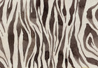 R19447 Zebra Stripes Brown Pops Mural by Rebel Walls