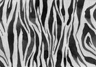 R19448 Zebra Stripes Graphite Pops Mural by Rebel Walls