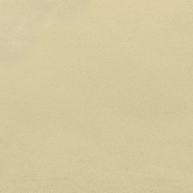 RE25105 Plain Shades of Colour Wallpaper By Galerie