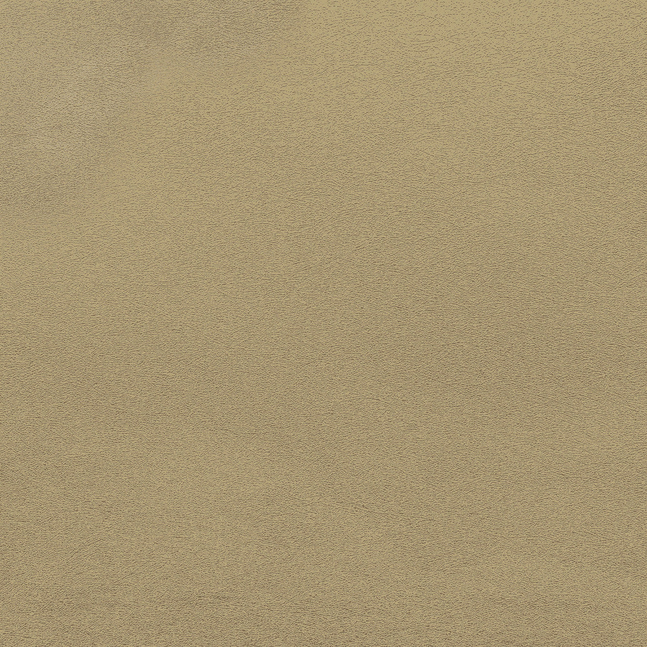 RE25110 Plain Shades of Colour Wallpaper By Galerie