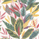 Ficus Rio Wallpaper by Casadeco