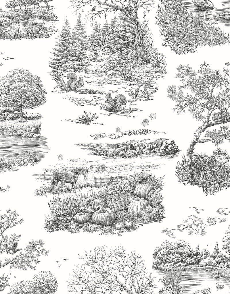 RON50125W Eve Toile Noir Wallpaper by Ohpopsi
