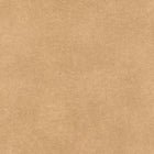 RRS26213525 Nervure Riverside 2 Wallpaper by Casadeco