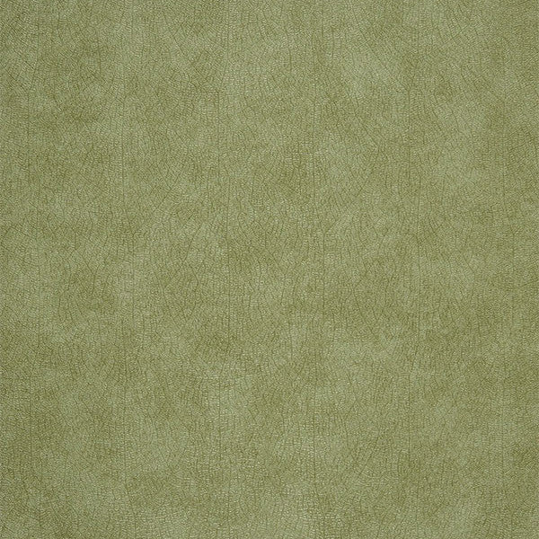 RRS26217120 Nervure Riverside 2 Wallpaper by Casadeco