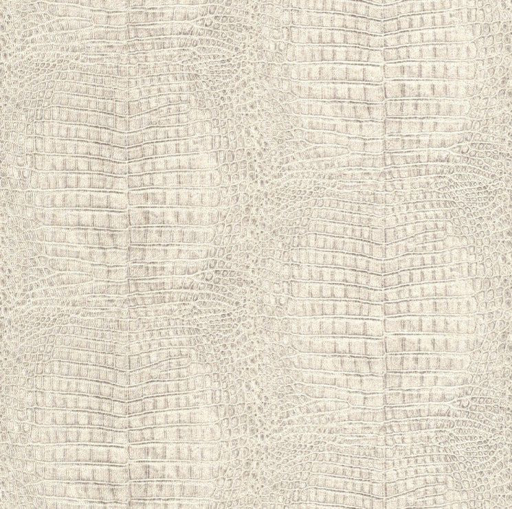 422566 African Queen Wallpaper by Rasch