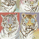 Roar Emotions Wild Life Wallpaper by Brand McKenzie