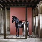 Russet Zoffany Paint