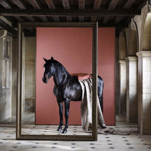 Russet Zoffany Paint