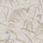 S10110 Anna Jordnara Hazel Wallpaper By Sandberg