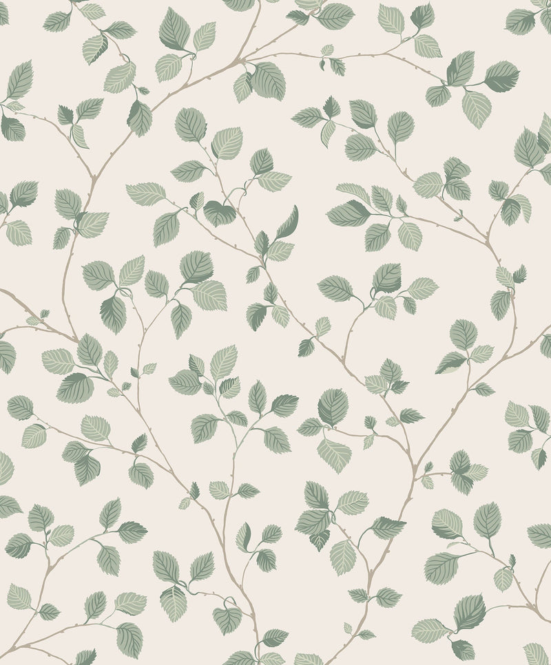S10322 Garden Green Bokskog Mons Klint Wallpaper by Sandberg