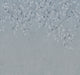 Misty Blue Liselund Mons Klint Mural by Sandberg