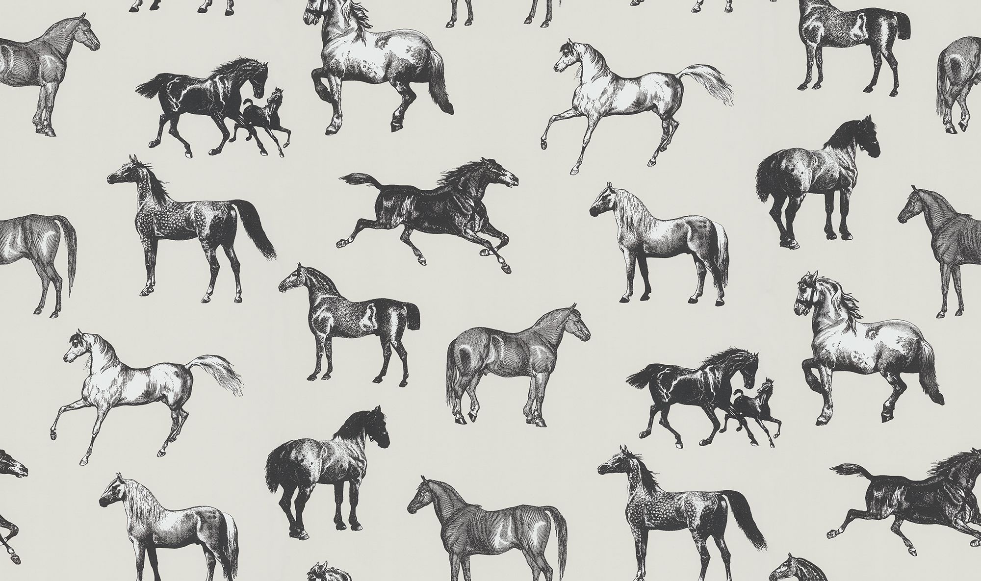S10411 Graphite Colette Sandberg Edition Mural by Sandberg