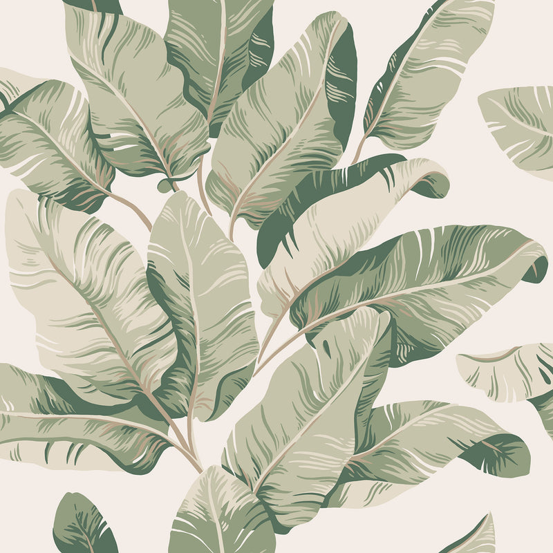 S10433 Garden Green Tom Palm Garden Wallpaper by Sandberg