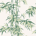 S10443 Garden Green Leon Palm Garden Wallpaper by Sandberg