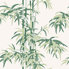 S10443 Garden Green Leon Palm Garden Wallpaper by Sandberg