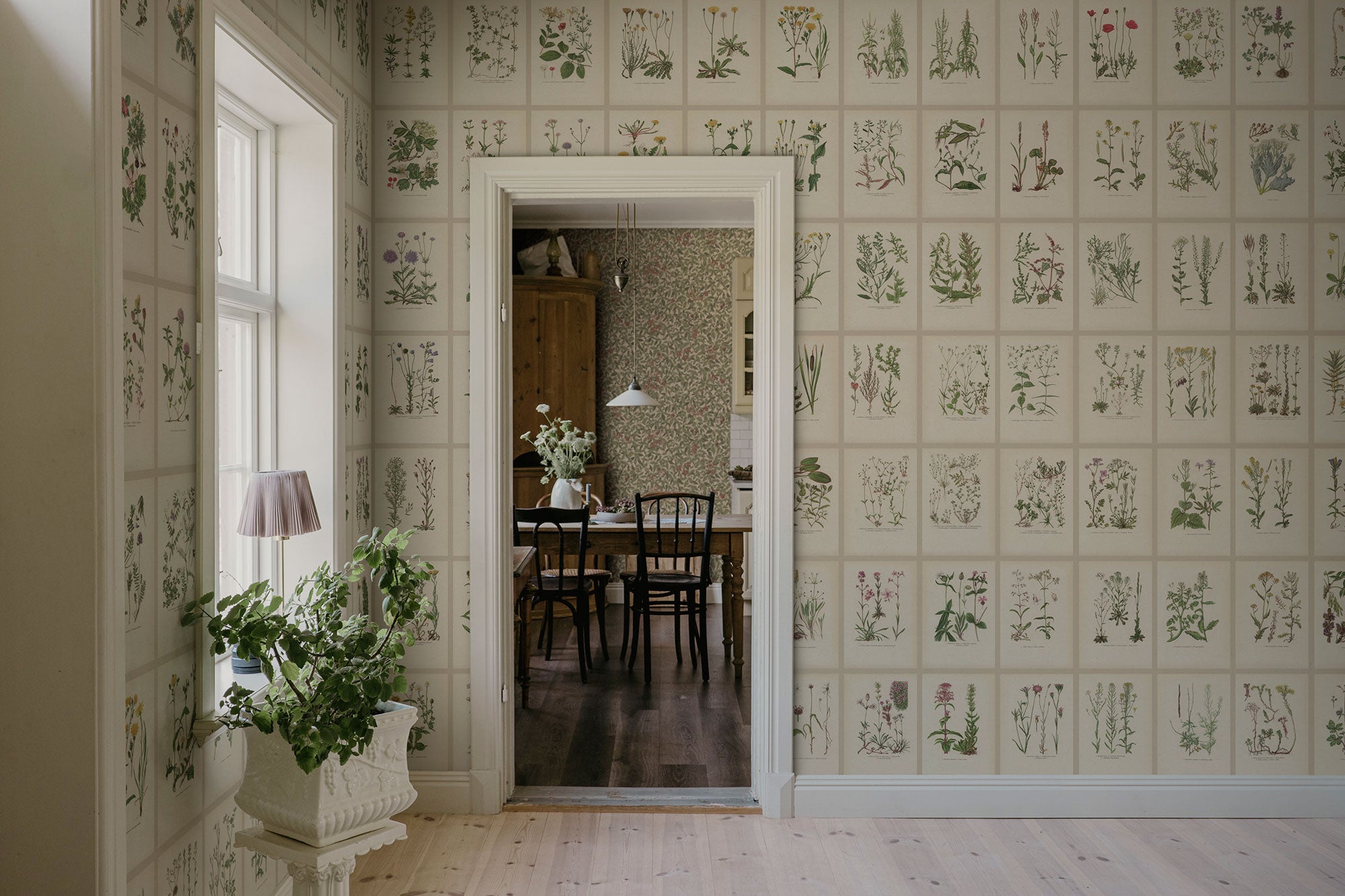 S10508 Oat Botanica Trädgården Mural by Sandberg