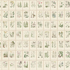 S10508 Oat Botanica Trädgården Mural by Sandberg