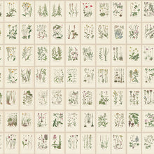 S10508 Oat Botanica Trädgården Mural by Sandberg