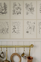 S10509 Graphite Botanica Trädgården Mural by Sandberg