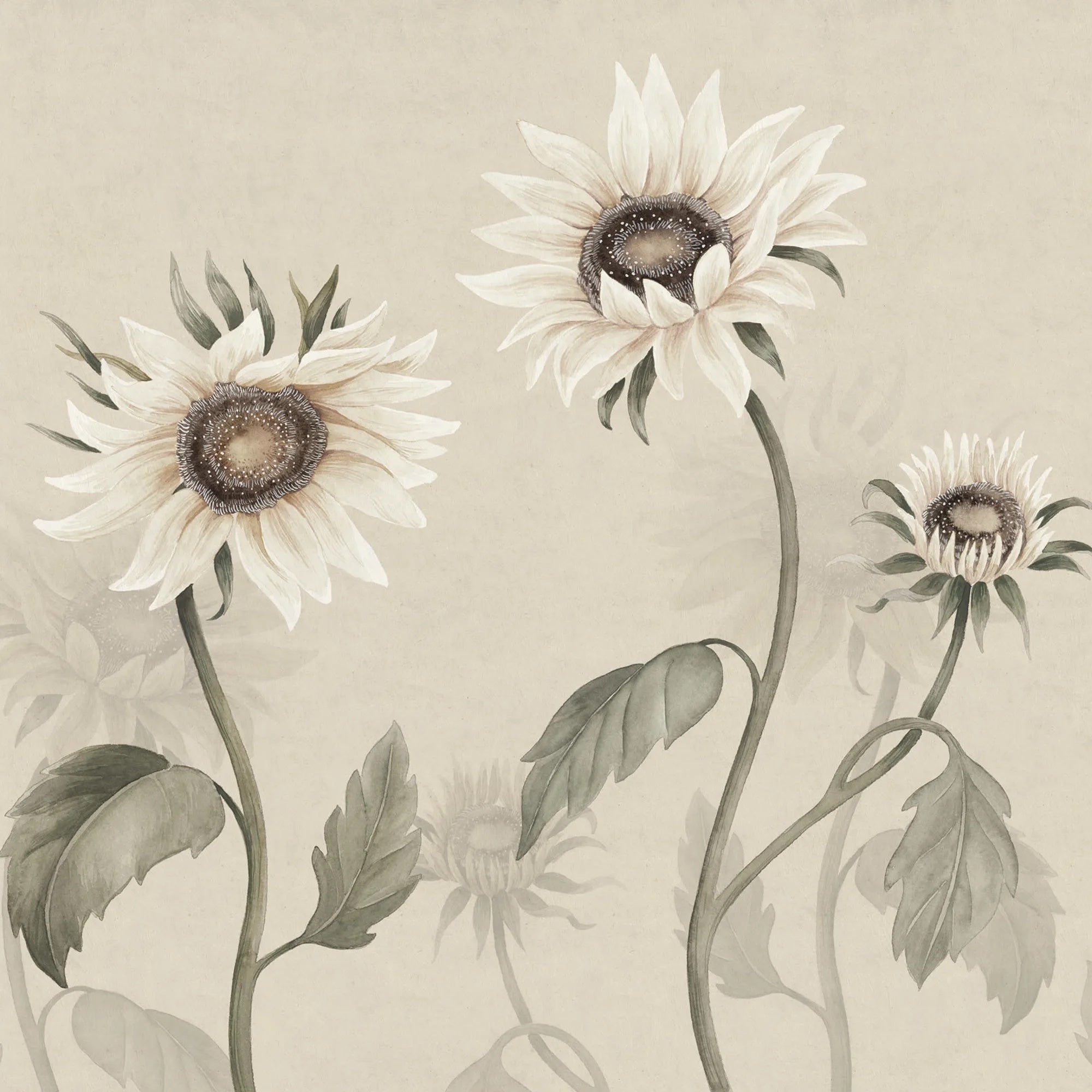 S10529 White Sunflowers Ett Hem, Öland Mural by Sandberg