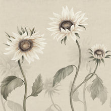 S10529 White Sunflowers Ett Hem, Öland Mural by Sandberg