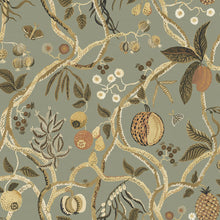 S10578 Sage Green Tree of Life Mural Herbarium Mural by Sandberg