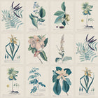 S10589 Blue Flora Herbarium Mural by Sandberg