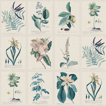 S10589 Blue Flora Herbarium Mural by Sandberg