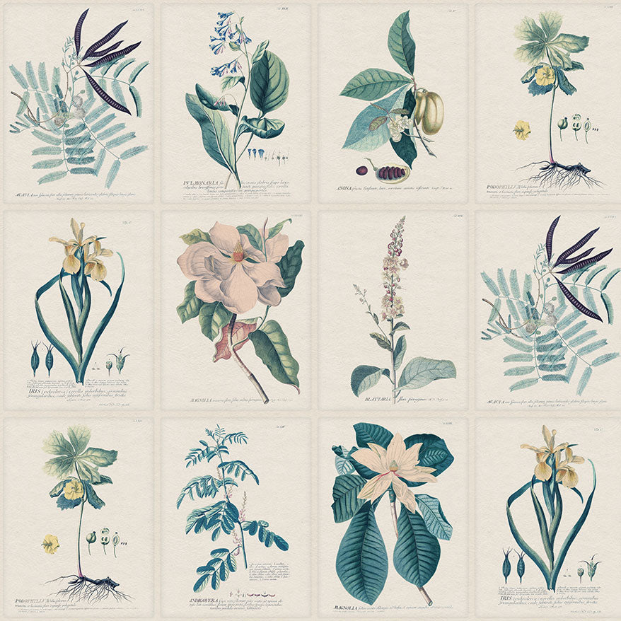 S10589 Blue Flora Herbarium Mural by Sandberg