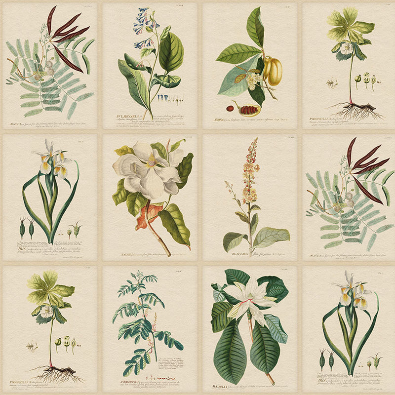 S10598 Green Flora Herbarium Mural by Sandberg