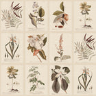 S10599 Sepia Flora Herbarium Mural by Sandberg