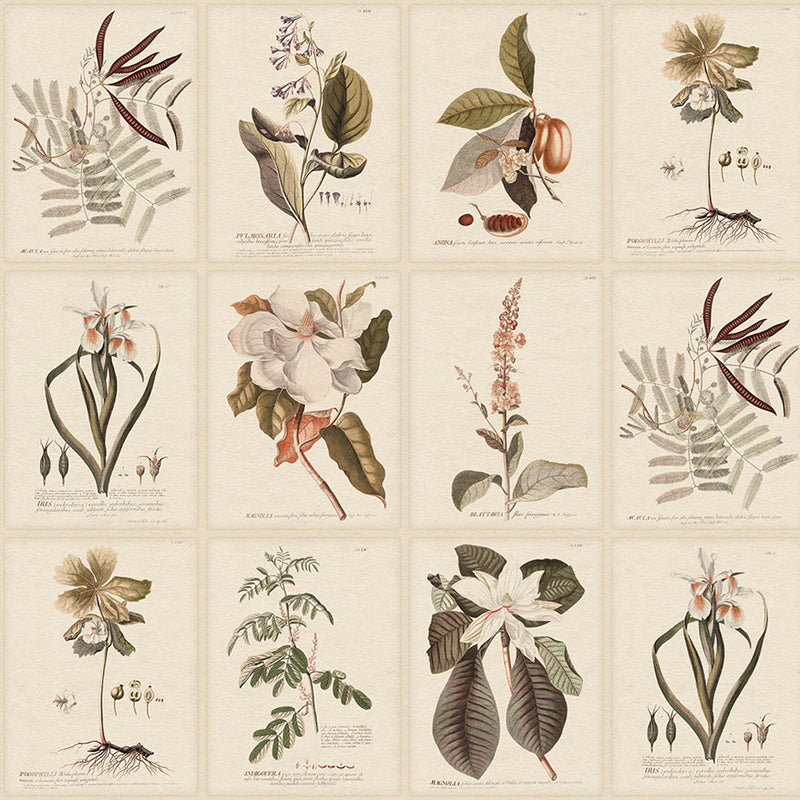 S10599 Sepia Flora Herbarium Mural by Sandberg