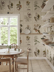 S10599 Sepia Flora Herbarium Mural by Sandberg