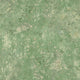 Green Juni Herbarium Mural by Sandberg