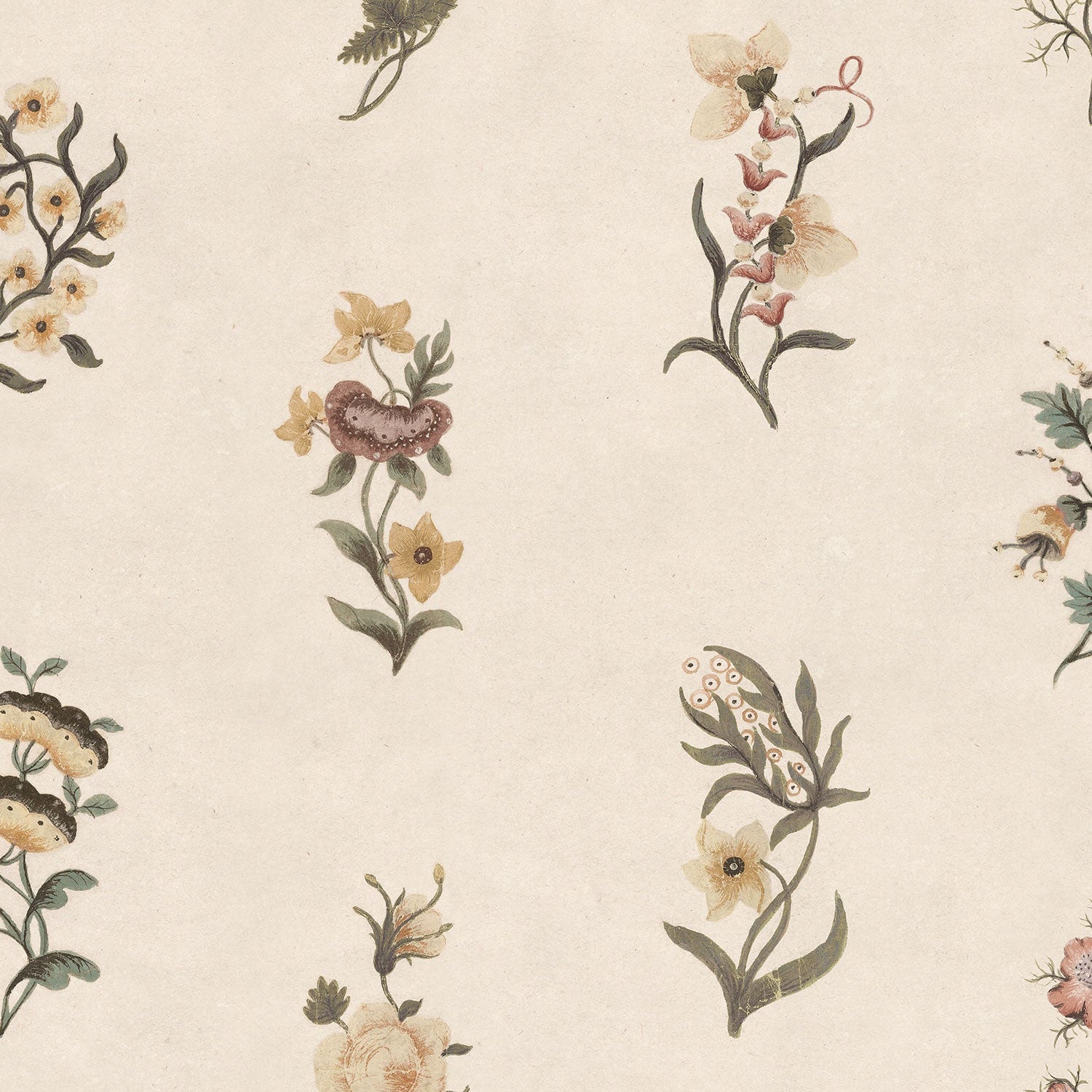 S10609 Honey Victoria Herbarium Mural by Sandberg